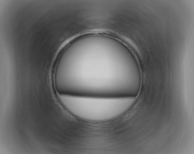 X0000110991412200906191101