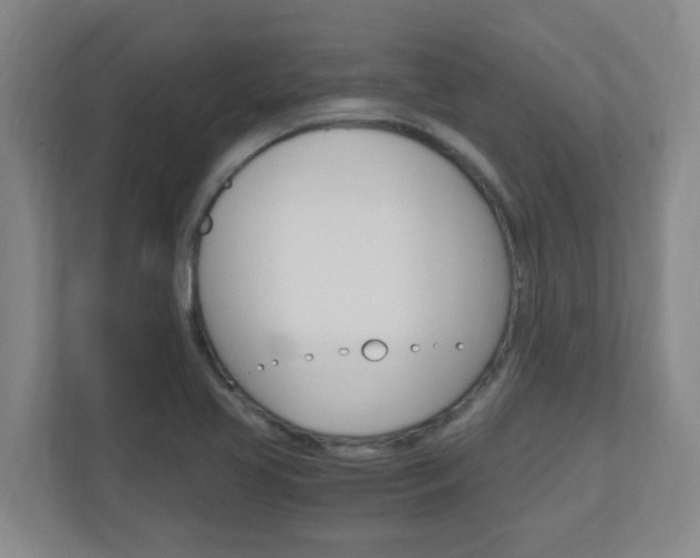 X0000110991413200906191101