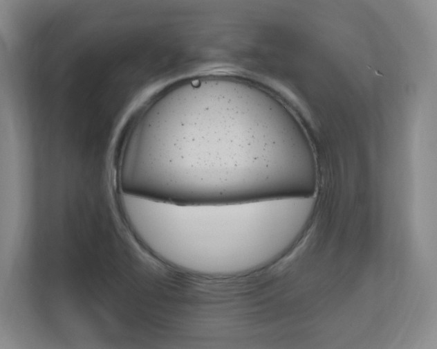 X0000110991414200906191101