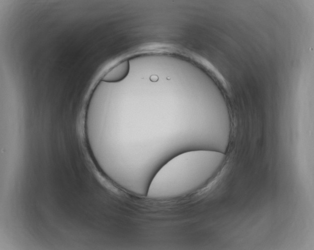 X0000110991421200906191101