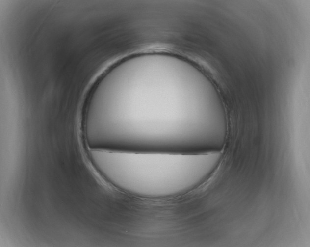 X0000110991422200906191101
