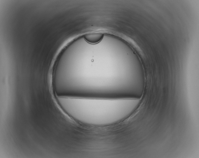 X0000110991424200906191101