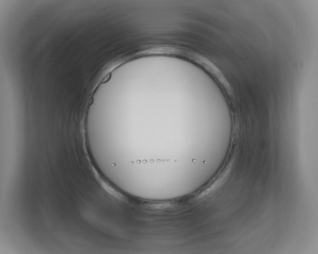 X0000110991425200906191101
