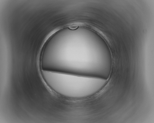 X0000110991426200906191101