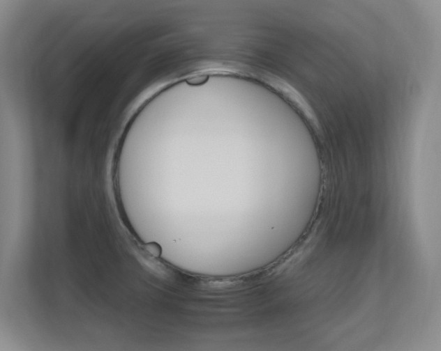 X0000110991427200906191101