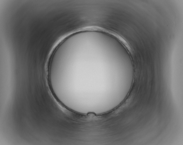 X0000110991430200906191101