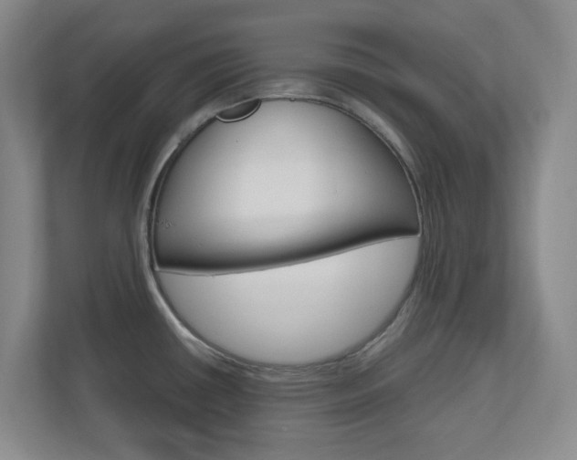 X0000110991434200906191101