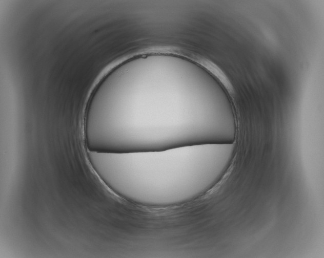 X0000110991436200906191101