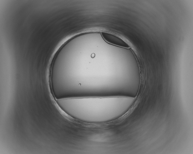 X0000110991438200906191101