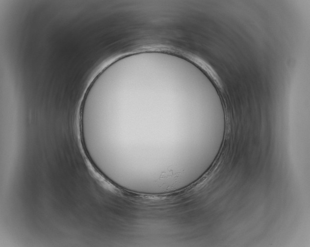X0000110991439200906191101
