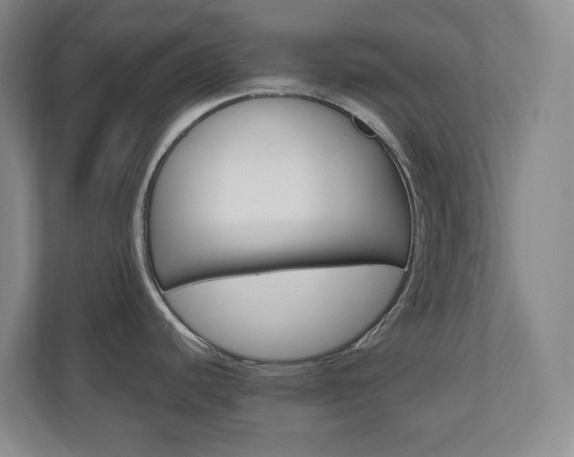 X0000110991440200906191101