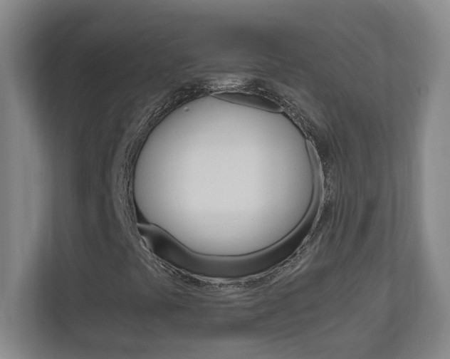 X0000110991441200906191101