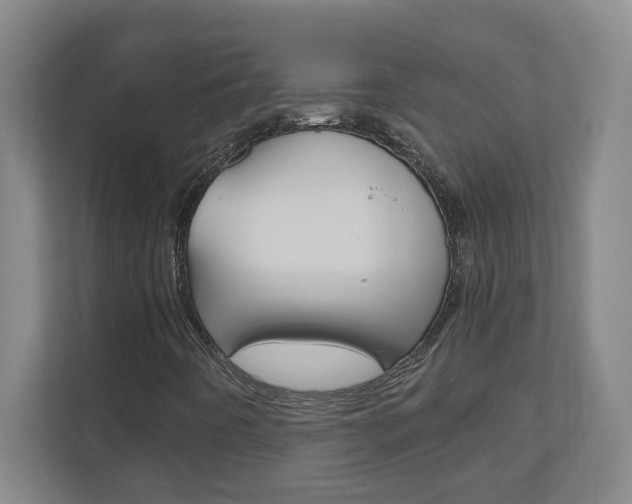 X0000110991442200906191101