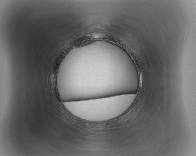 X0000110991443200906191101