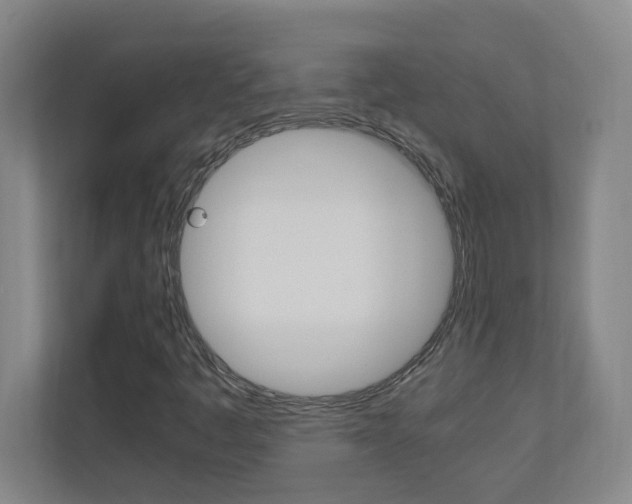 X0000110991445200906191101