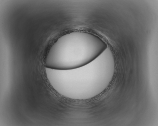 X0000110991447200906191101
