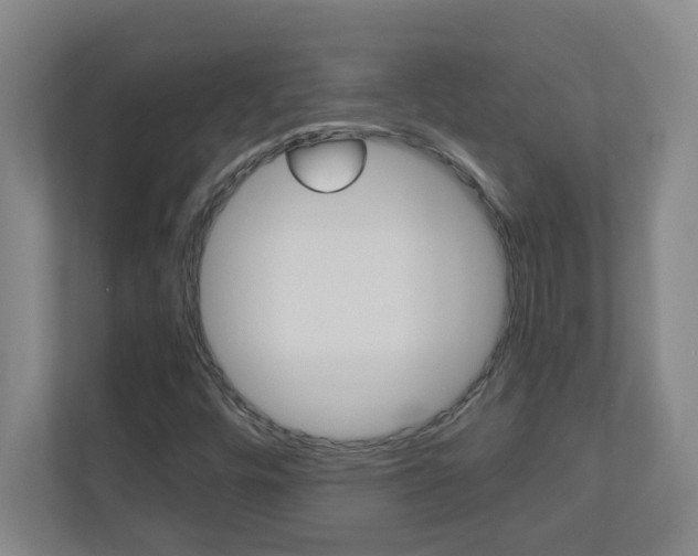 X0000110991448200906191101