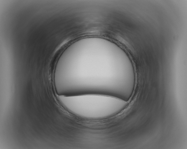 X0000110991450200906191101