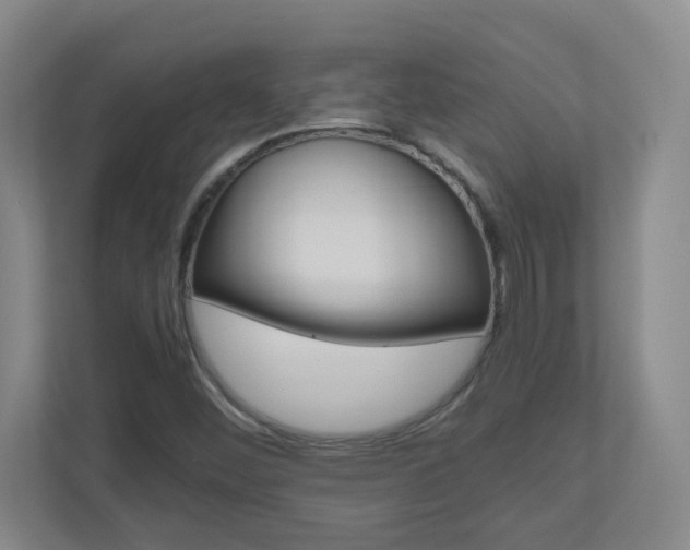 X0000110991452200906191101