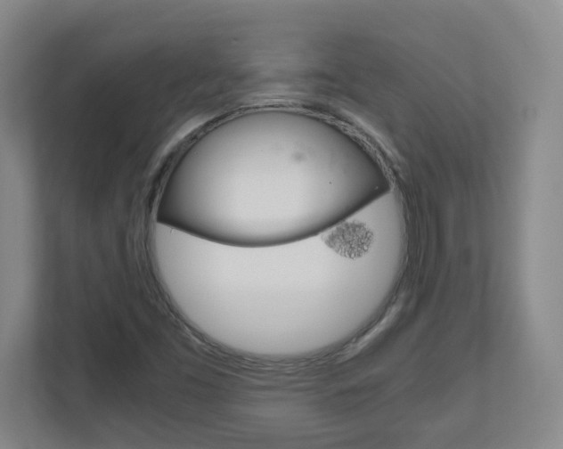 X0000110991453200906191101