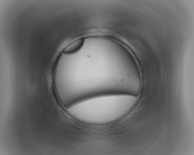 X0000110991459200906191101