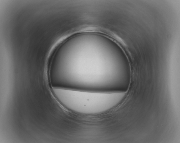 X0000110991464200906191100