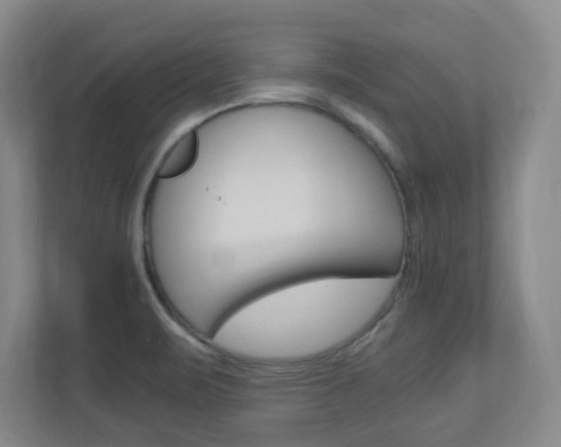 X0000110991471200906191100