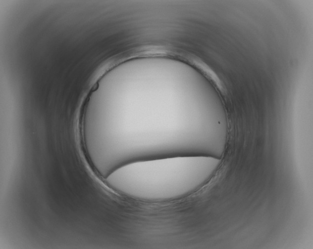 X0000110991475200906191100