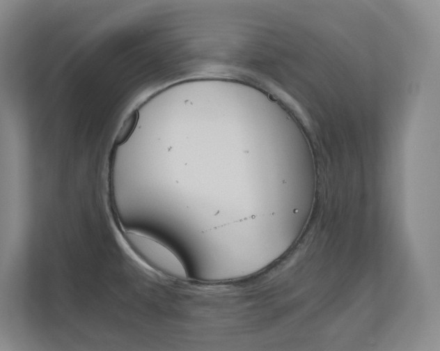 X0000110991479200906191100