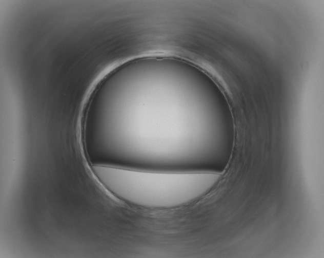 X0000110991480200906191100