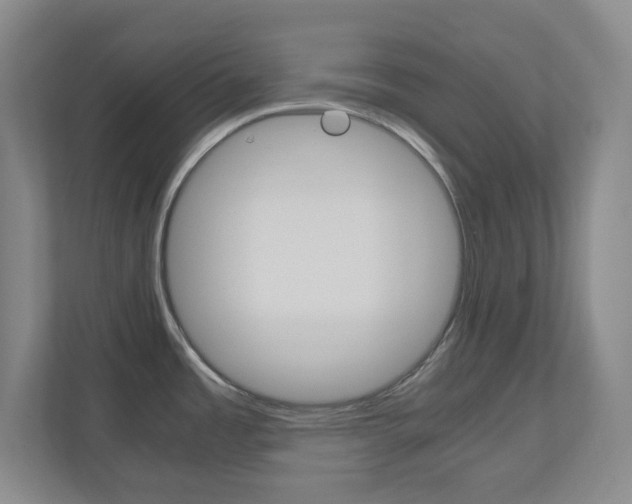 X0000110991485200906191100