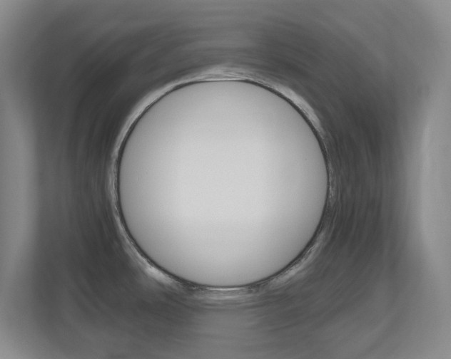 X0000110991486200906191100