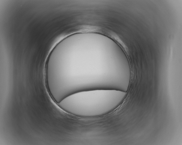 X0000110991487200906191100