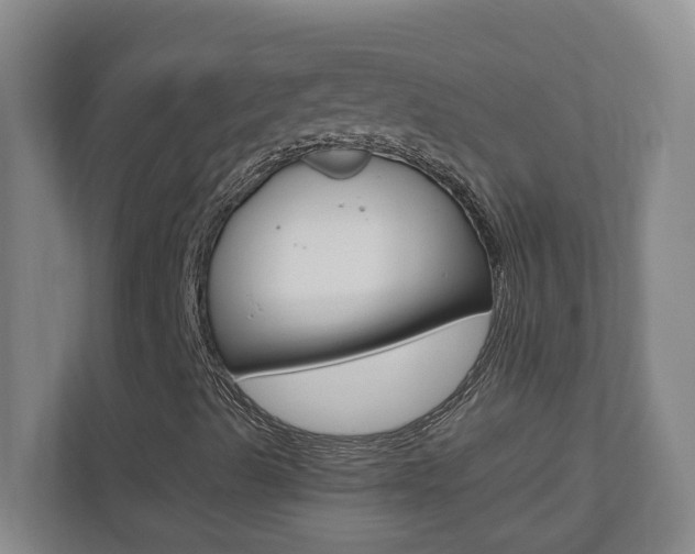 X0000110991489200906191059