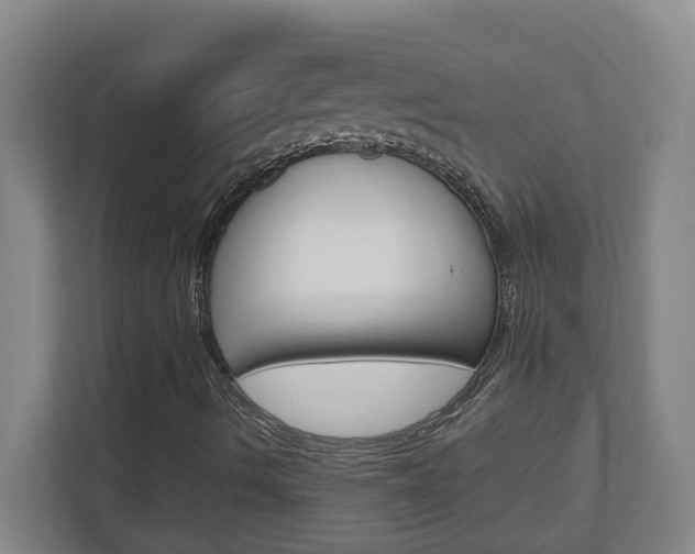 X0000110991490200906191059