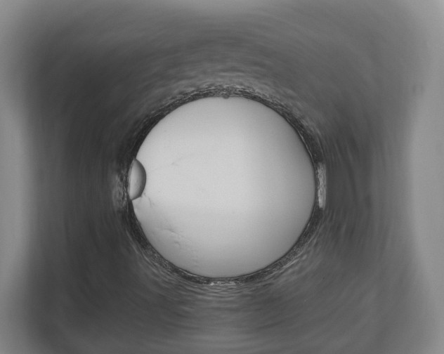 X0000110991491200906191059