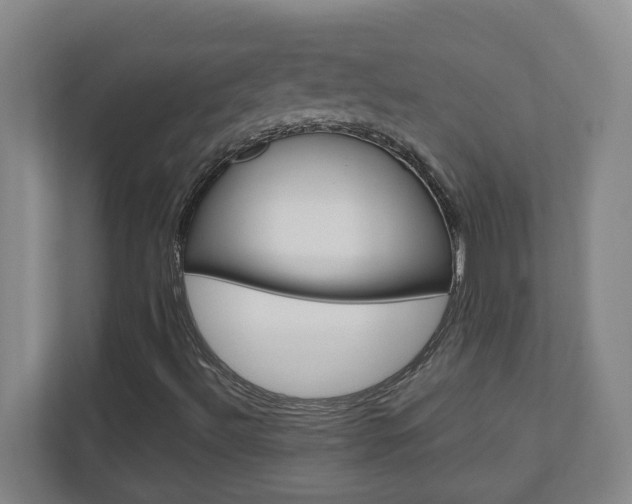 X0000110991492200906191100