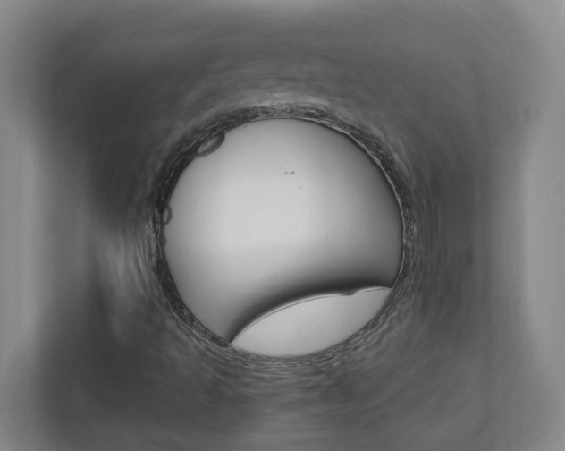 X0000110991493200906191100