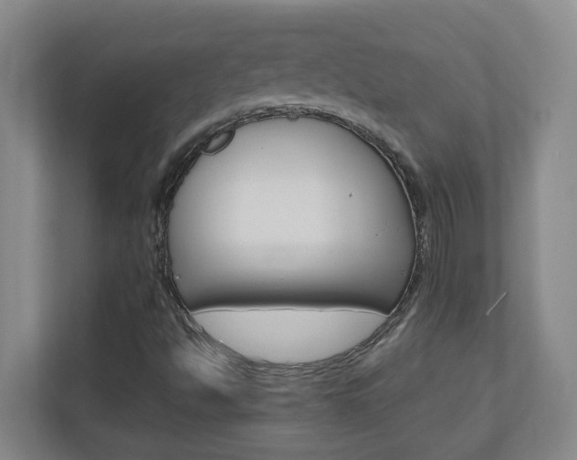 X0000110991494200906191100