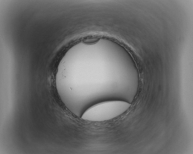 X0000110991495200906191100