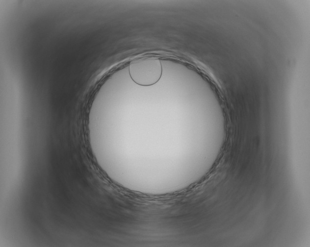 X0000110991496200906191100
