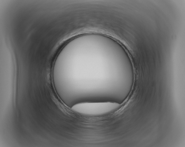 X0000110991499200906191100