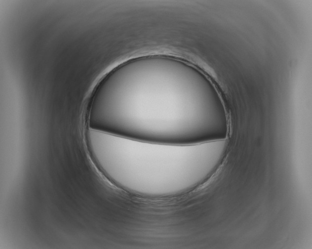X0000110991500200906191100