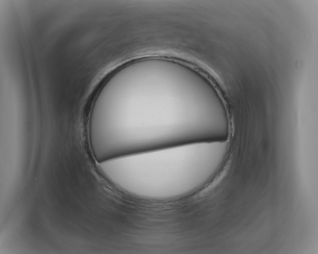X0000110991501200906191100