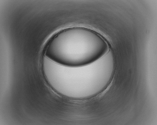 X0000110991502200906191100