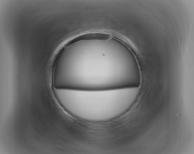 X0000110991504200906191100