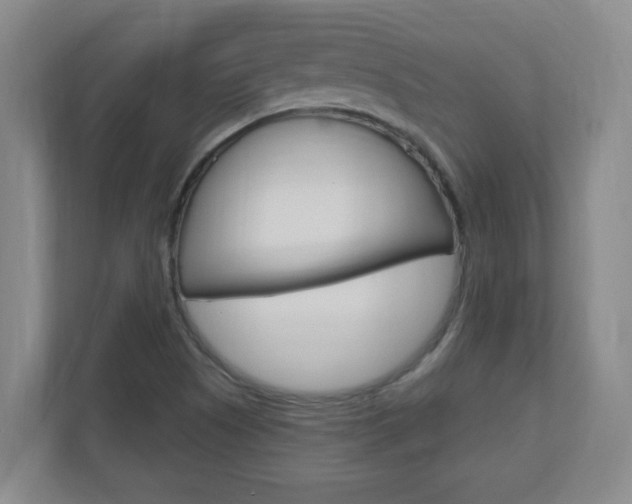 X0000110991505200906191100