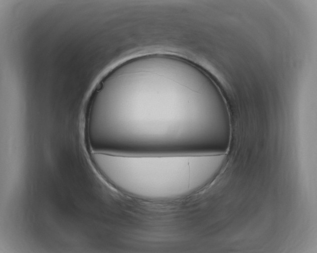 X0000110991508200906191100