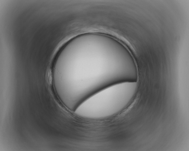 X0000110991509200906191100