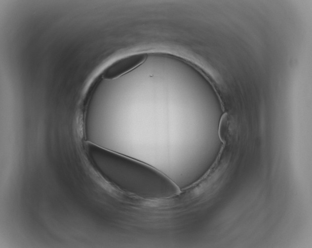X0000110991510200906191100
